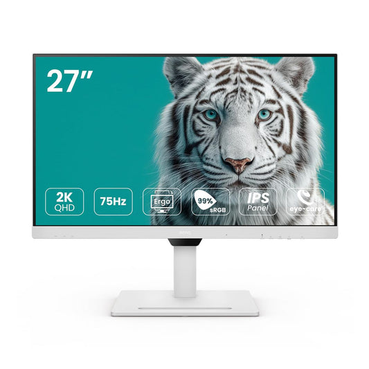 MONITOR BENQ GW2790QT 2KUSB 9H.LLGLA.TBL - LED de 27 Pulgadas, Wide Screen. Resolucion: 2K QHD (2560 x 1440). Panel IPS / Anti-Glare