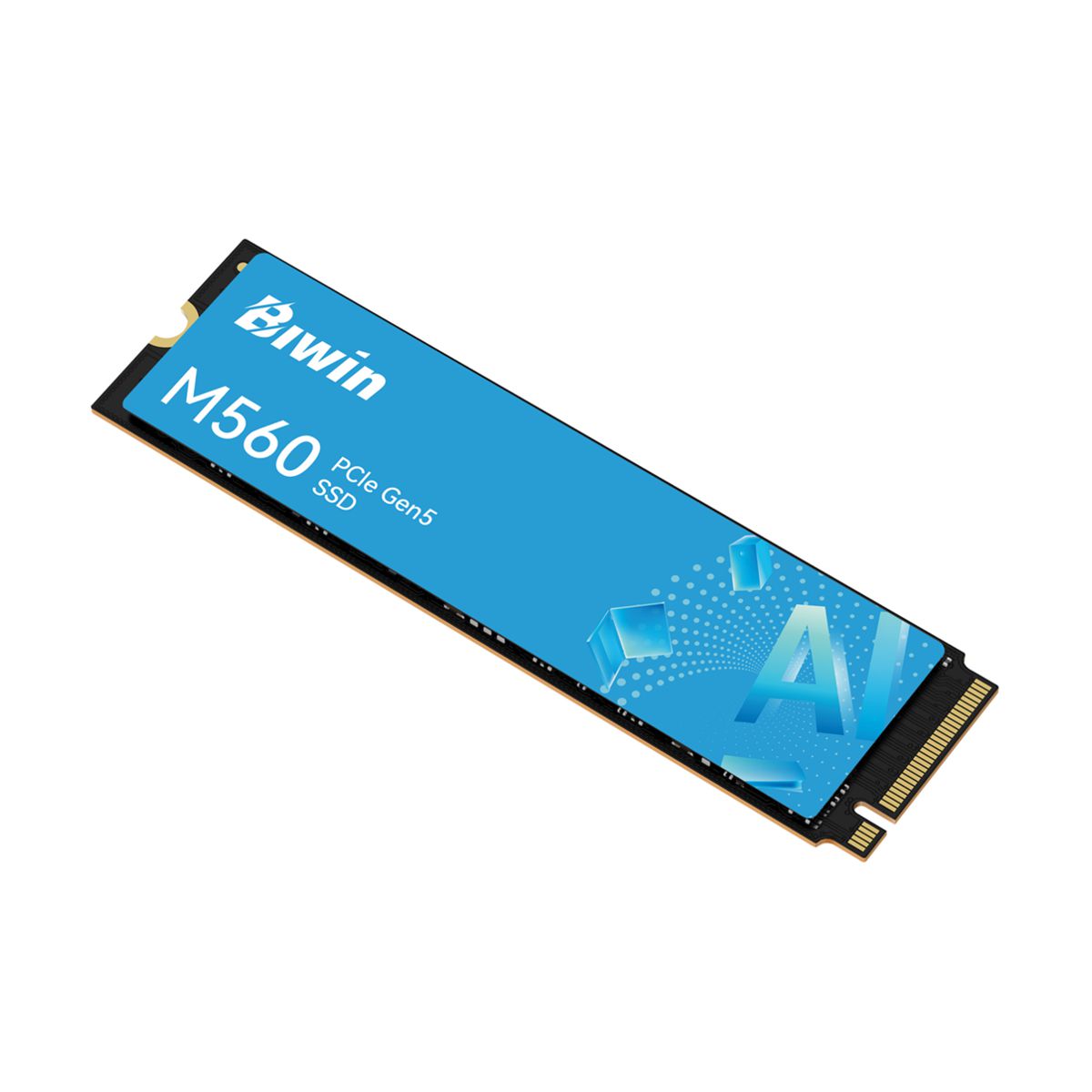 UNIDAD SSD M.2 BIWIN 1TB (BM560NN01TB-RGX) M560, PCIE 5.0, NVME, 2280 HASTA 11000/9700 MB/S