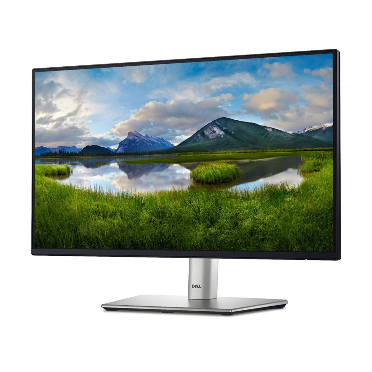 Monitor DELL P2225H - 21.5 pulgadas, 1920 x 1080 Pixeles, Negro